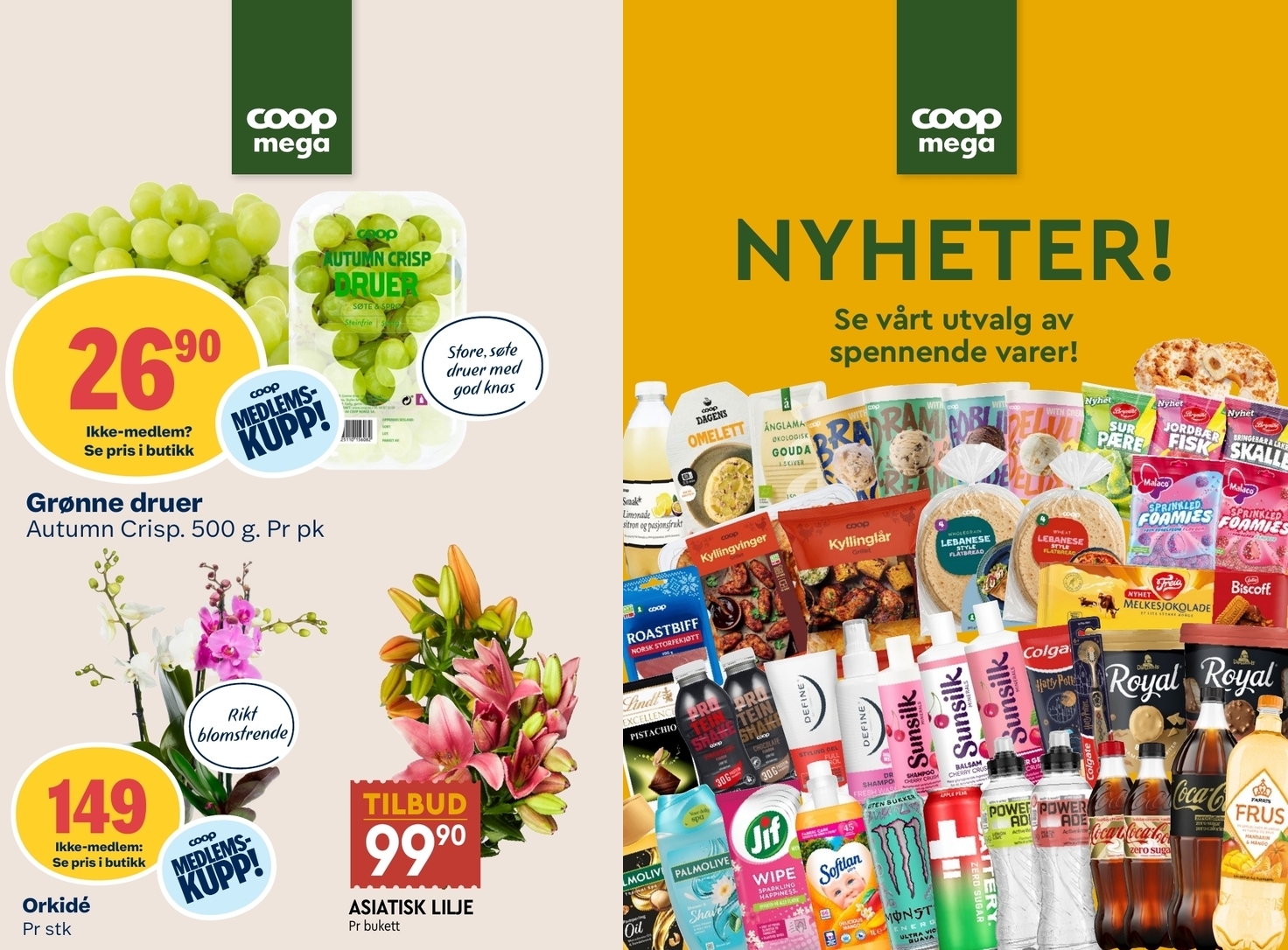 Coop Mega tilbudsavis side 6