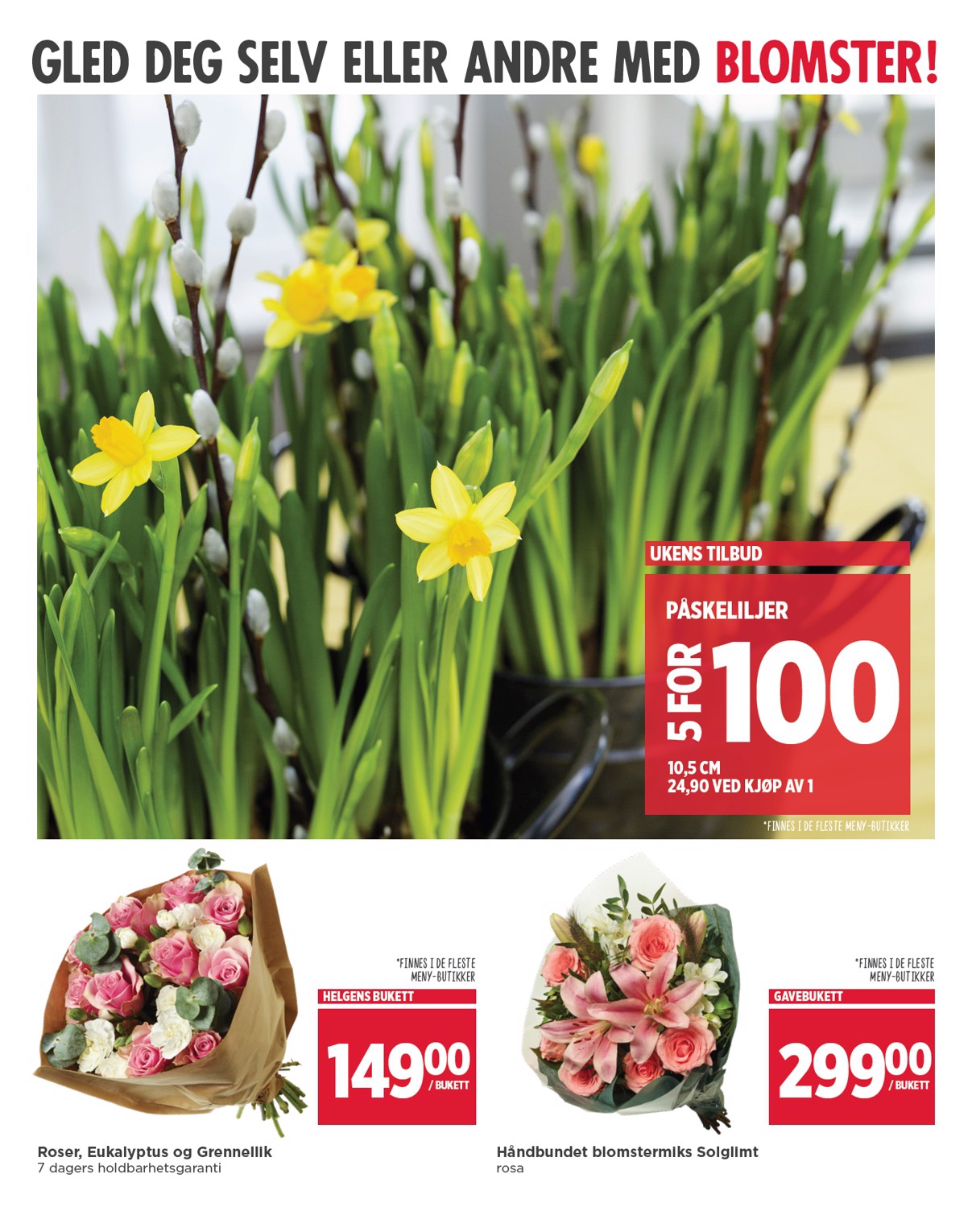 Meny tilbudsavis side 10